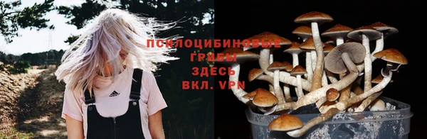 меф Заволжск